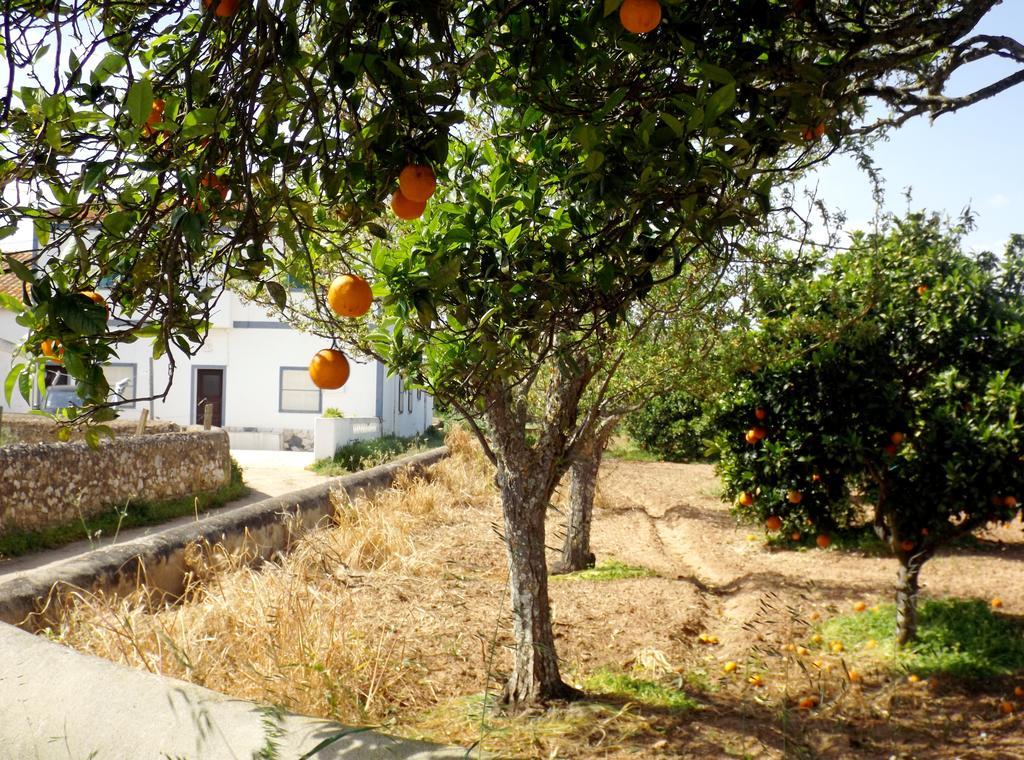 Villa Casas Do Pomar à Lagos Chambre photo