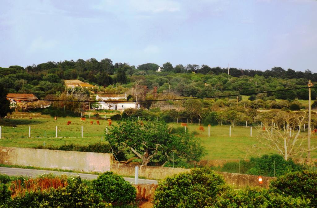 Villa Casas Do Pomar à Lagos Chambre photo